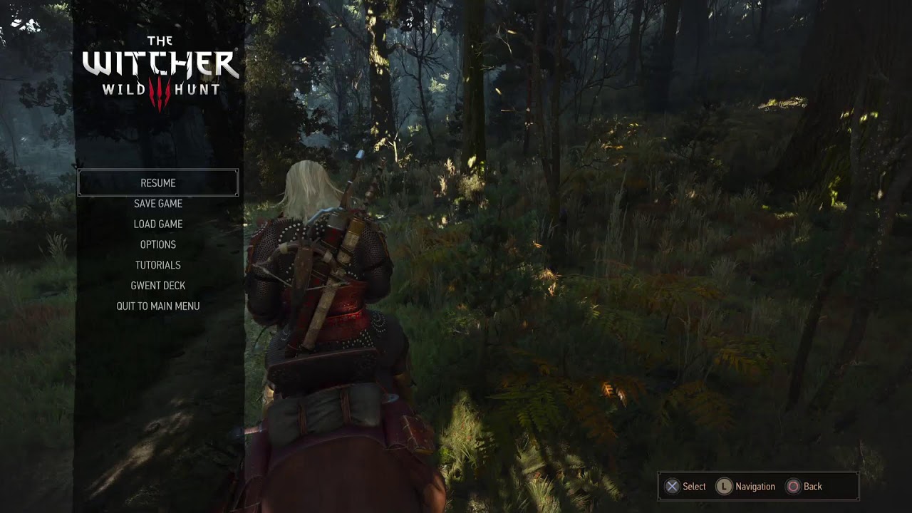 Witcher chill