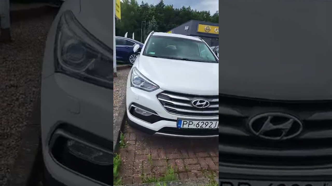 Plac samochod&oacute;w używanych polskiego dealera