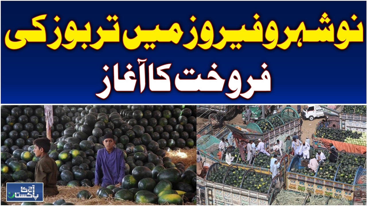 Watermelon Prices Drop | Sweet Spring Fruit Arrives in Markets | Noshero Feroze Update - Aaj News