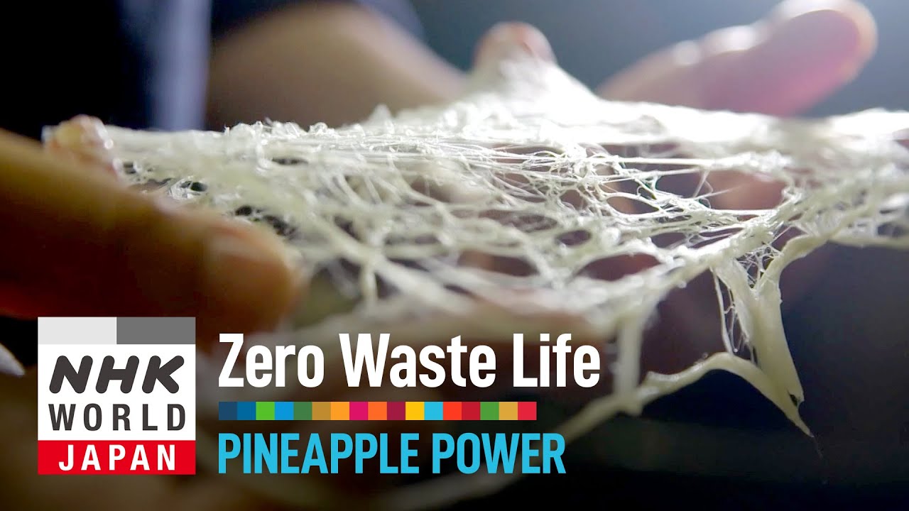 Pineapple Power - Zero Waste Life