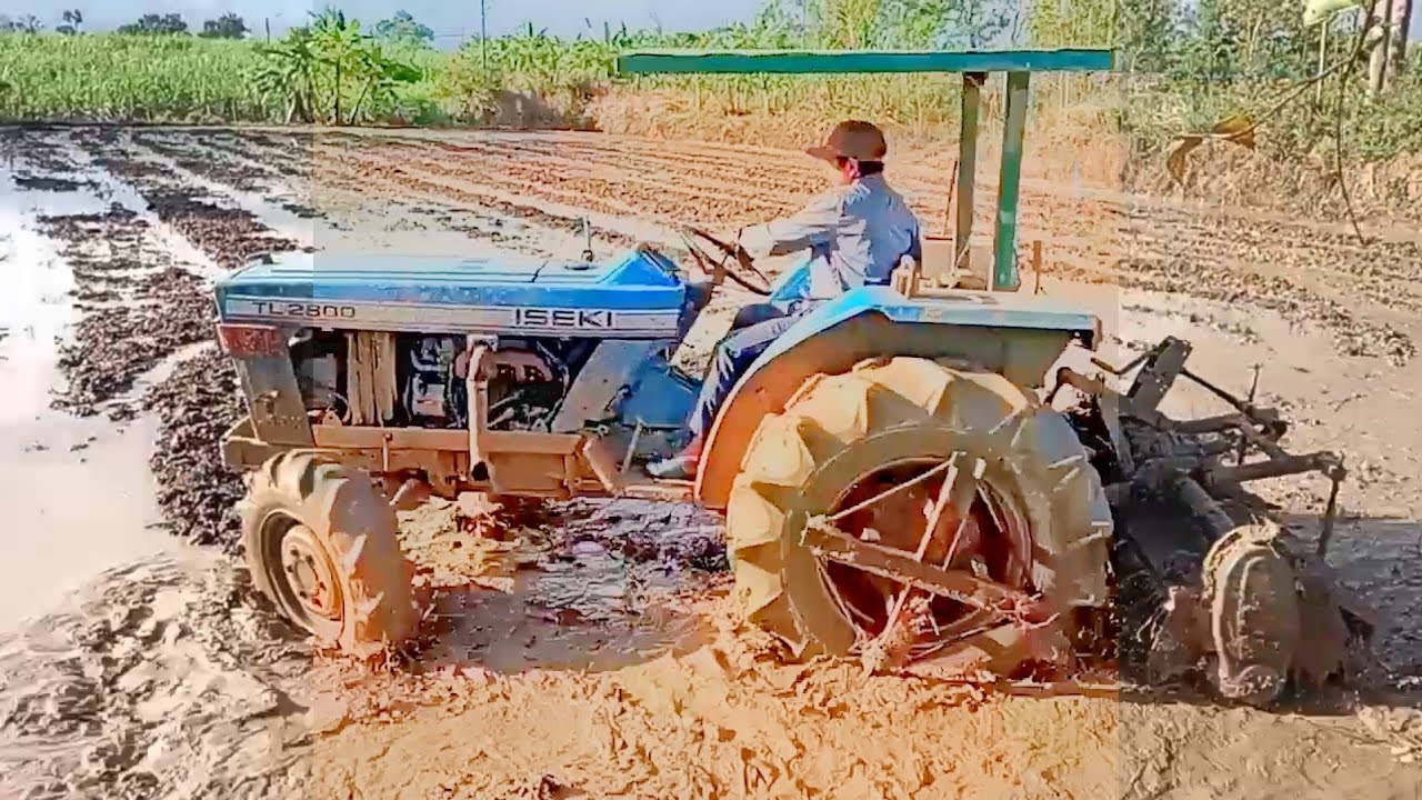 Xới ruộng đám cuối 2025 