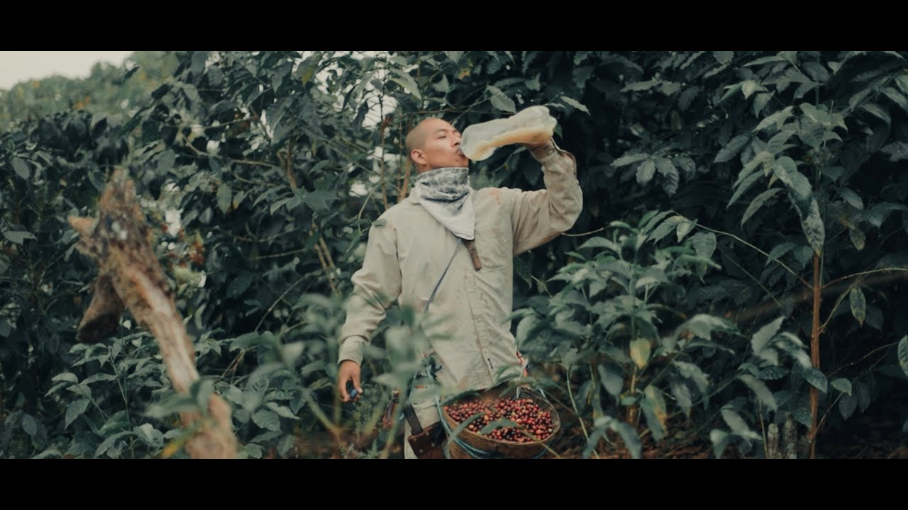 Dayner Mc - Cumbia Del Cafetal (Video Oficial)