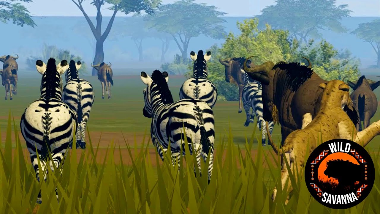 Lion Pride Hunting Great Migration | Wild Savannah