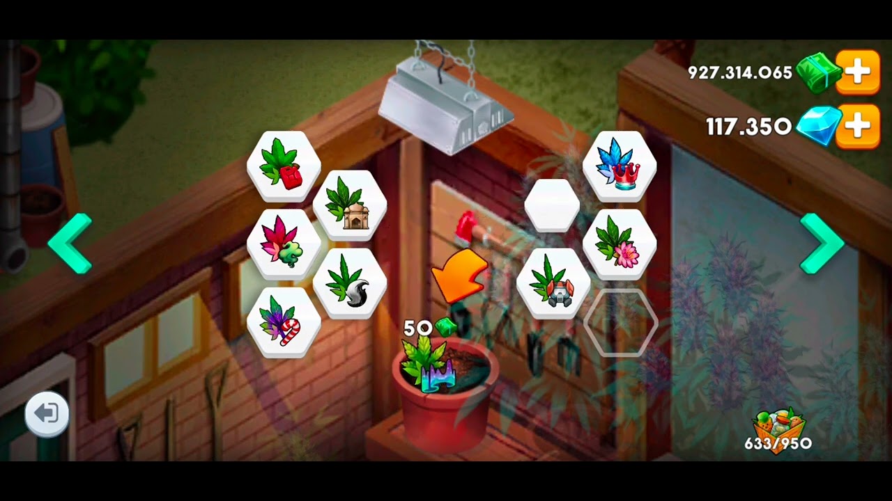 Hempire Level 72