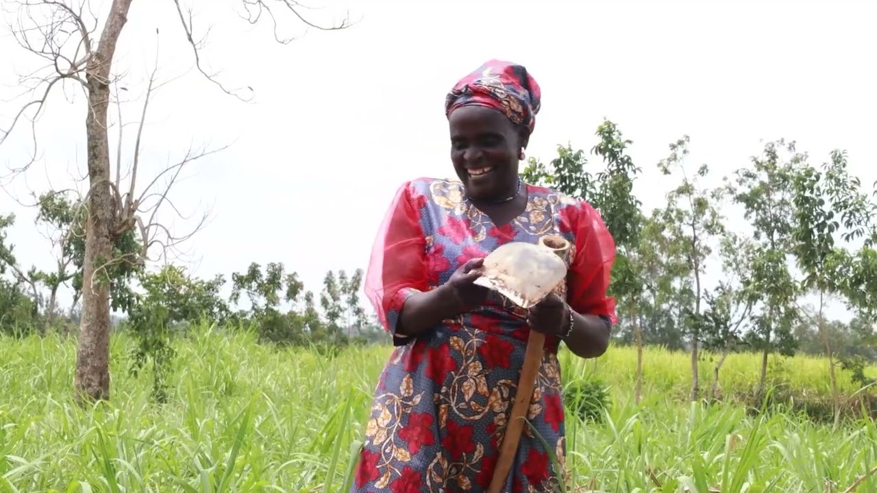 Sugar Industry Reforms - The Revival of Mumias Sugar Company