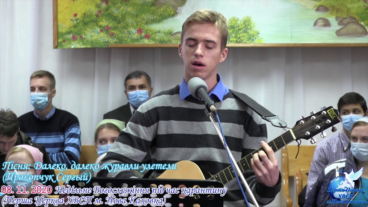 Далеко журавли улетели Пісня Прокопчук Сергій