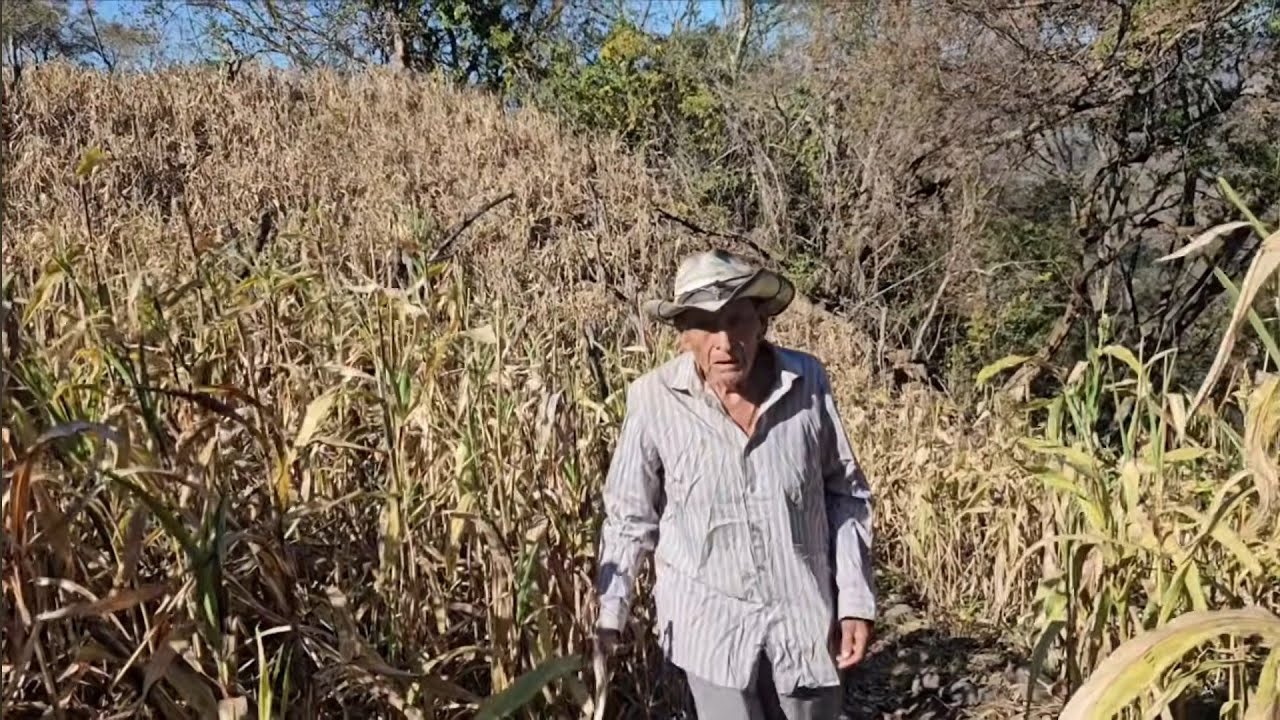 🛑Lo encontramos😪gritando en el monte que tiene hambre /El Buen salvadoreño 