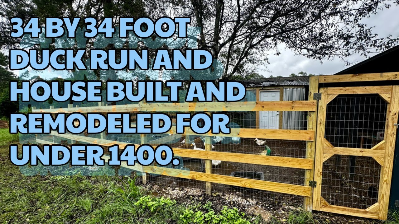 34 by 34 foot Duck Run and 14 by 14 foot Duck House built and remodeled for under 1400.