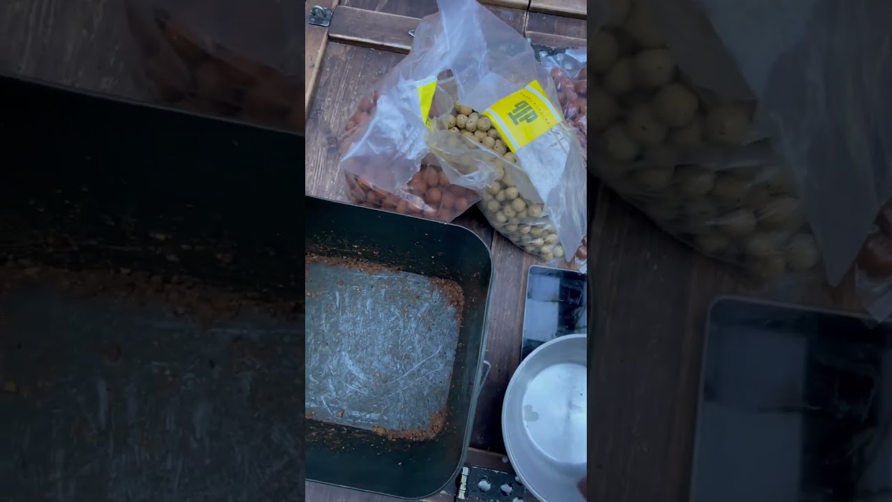 KARPERVISSEN IN DE WINTER | beste tip | voertechniek |