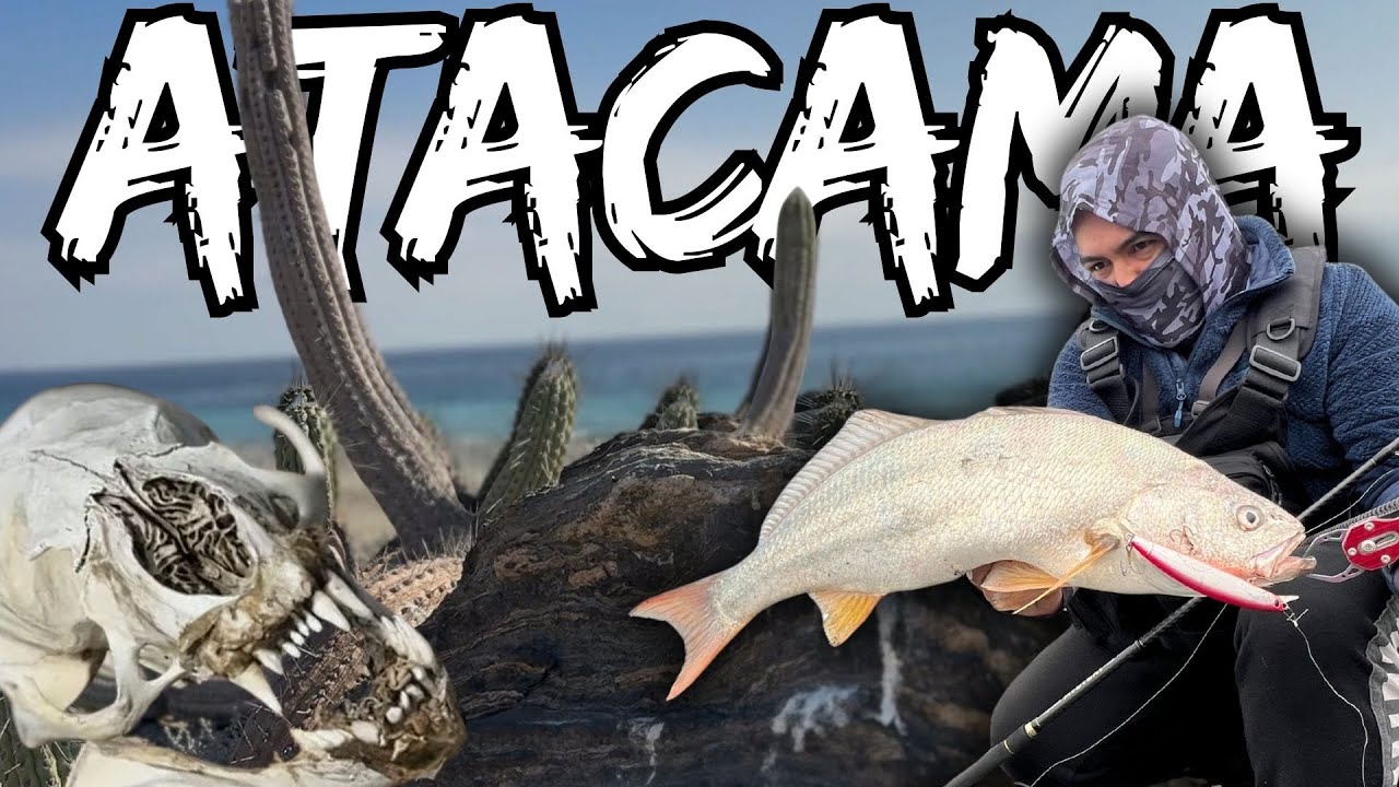 DESAFÍO | 72 Horas pescando en el DESIERTO.