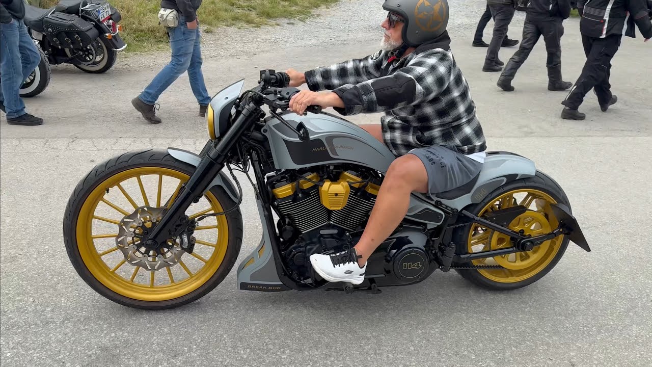 Harley Rider, Willingen, Germany, 2025, Part  1 in 4 K #harley  #custom #harleydavidson