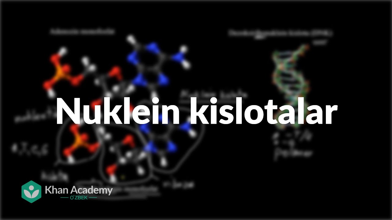 Nuklein kislotalar | Biologiya asoslari | Yuqori sinf biologiyasi