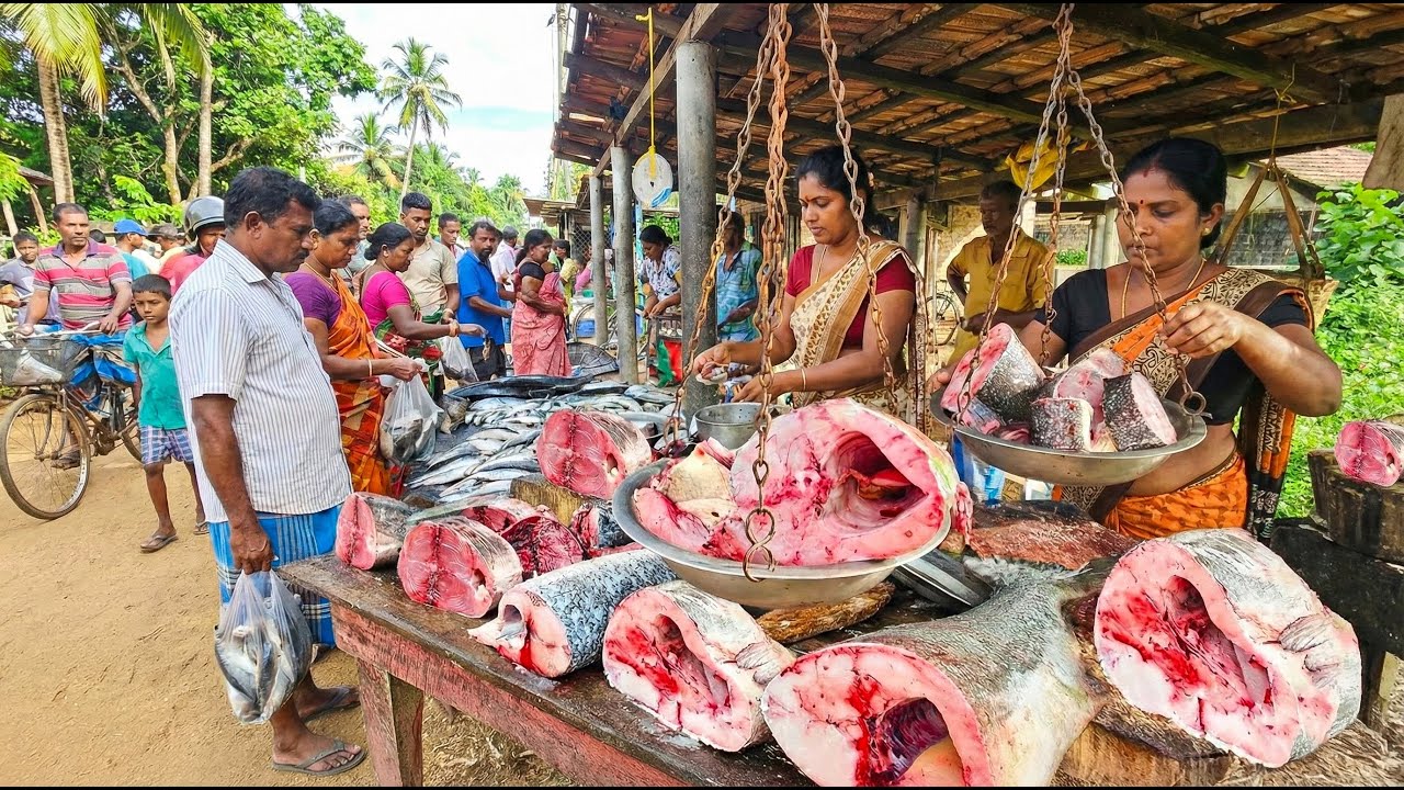 Fishermen's Legacy Ancient Techniques Shaping Sri Lankan Village Seafood Culture
