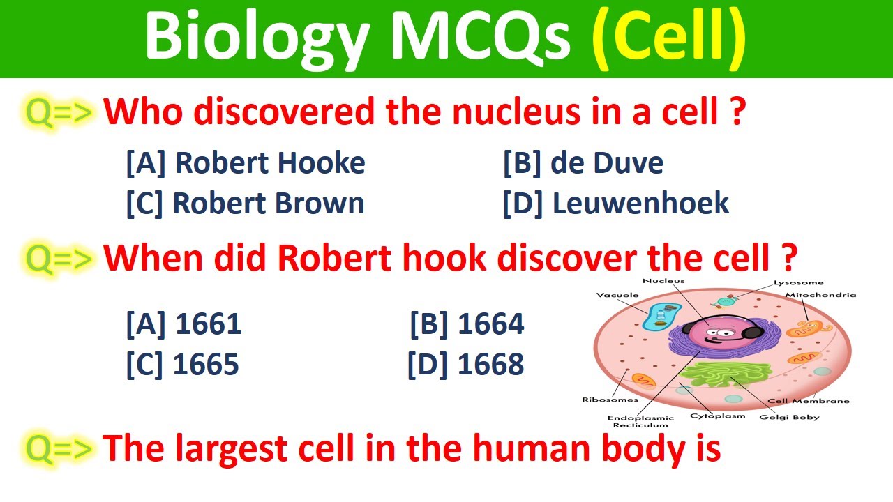 The Cell/ MCQs on Cell/ Cell important gk questions and answers/ Biology/ Biology MCQs/
