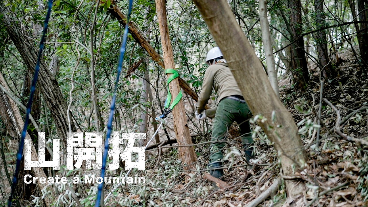 【山開拓 306】複雑に絡み合った立ち枯れした木を手ノコとロープを使って倒す