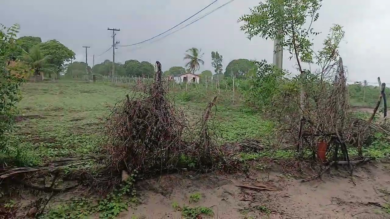 Mas um vídeo mostrando a chuva ☔️ ☔️ aqui no sítio cajueiro Lagoa salgada RN dia  8 do  2 