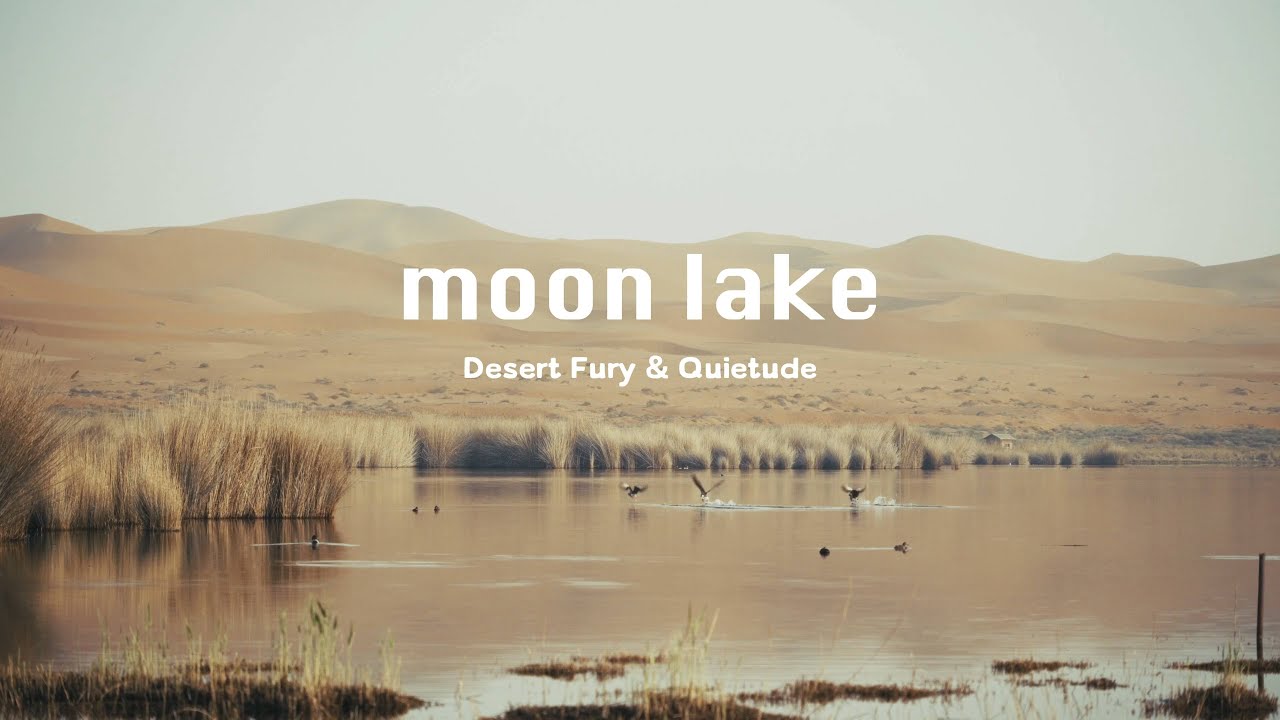 Into the Heart of the Desert: The Silence and Noise of an Oasis