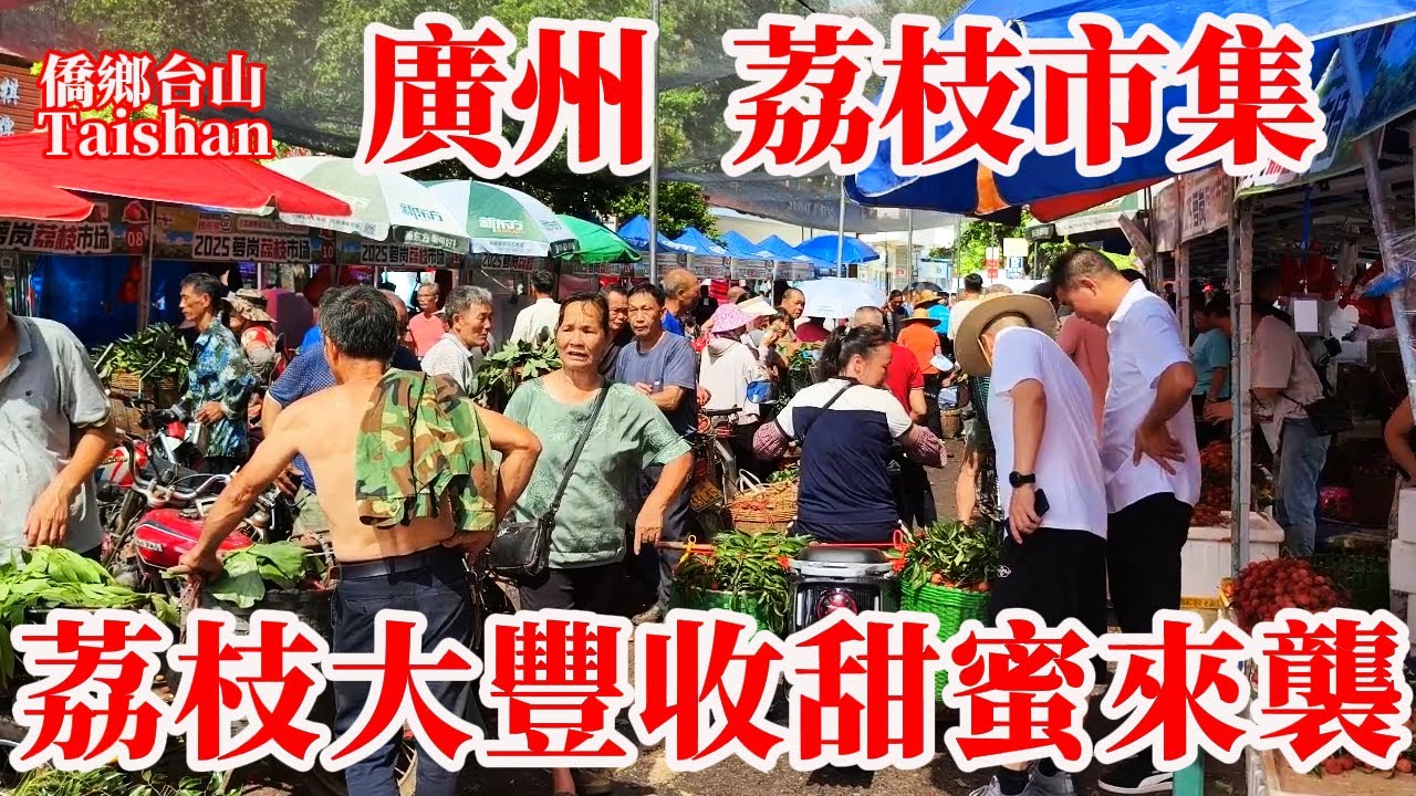 廣州 Guangzhou 蘿崗荔枝墟600年歷史！嶺南荔枝桂味糯米糍重要產區大集市！今年交易1200萬斤！蘿崗肉菜市場買餸全區唯一最大 #citywalk #chinavillagetour #现状