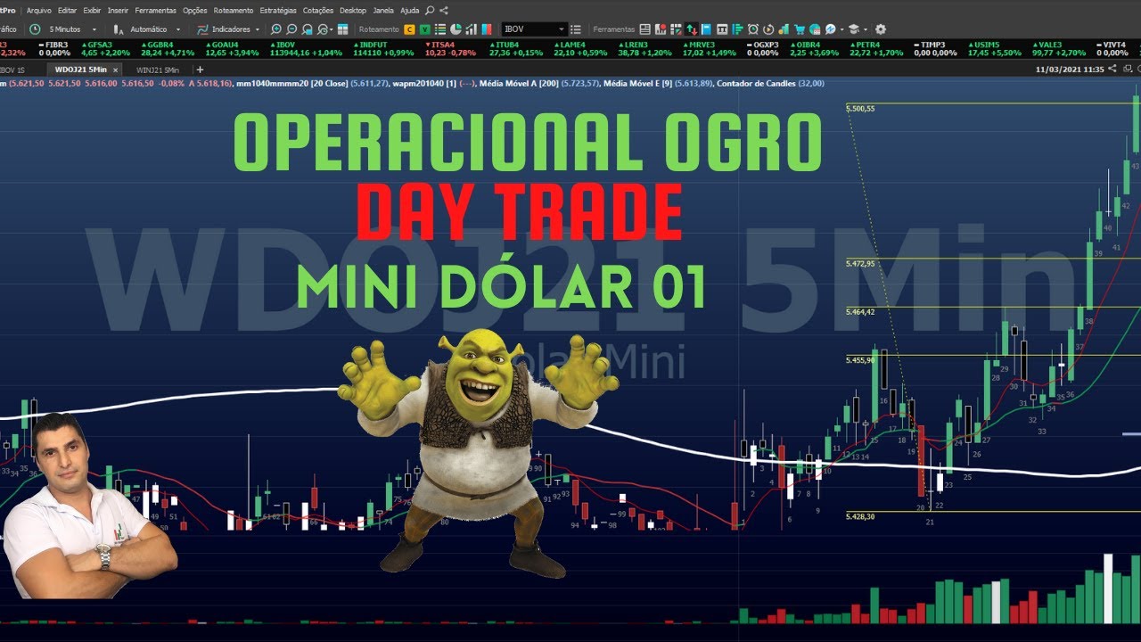 OPERACIONAL O OGRO DE WALL STREET - 01 DAY TRADE D&Oacute;LAR