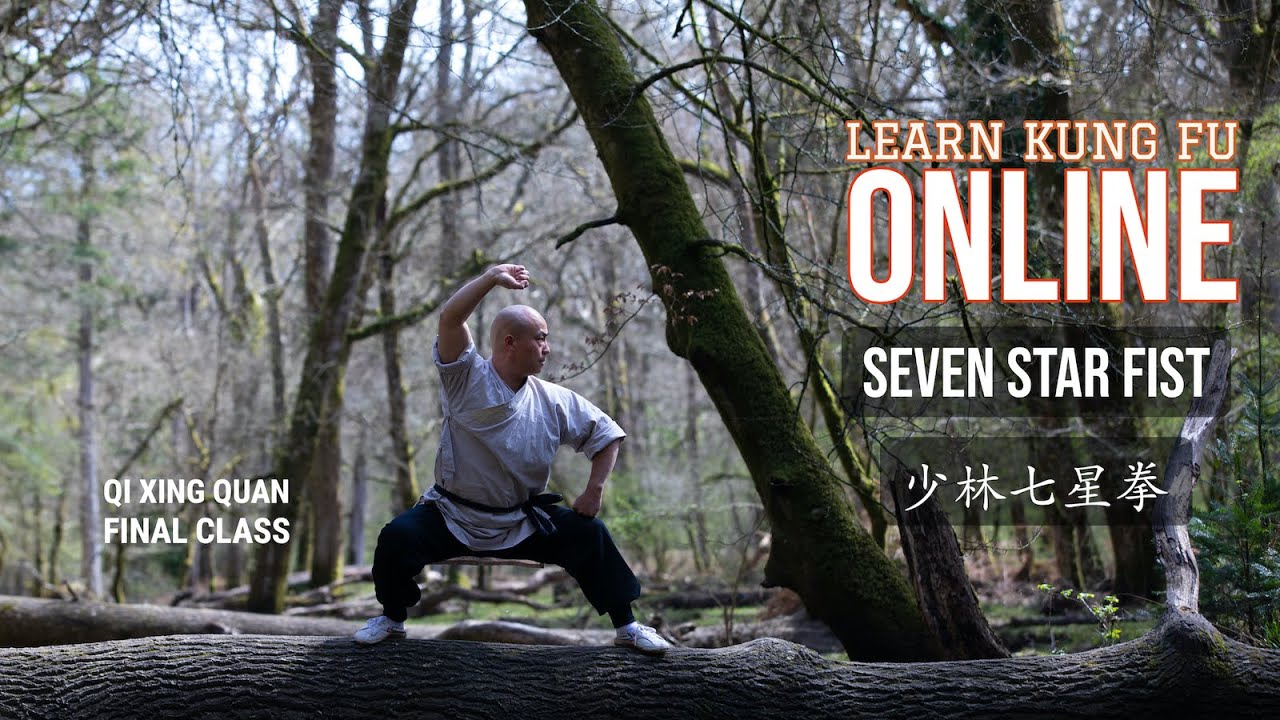 Learn Kung Fu Online | Qi Xing Quan Final Class | Seven Star Fist | Free Kung Fu Classes