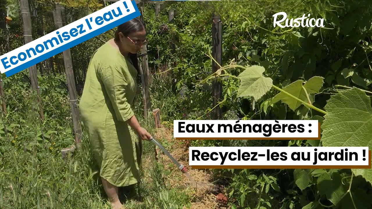 Comment r&eacute;cup&eacute;rer les eaux grises pour le jardin