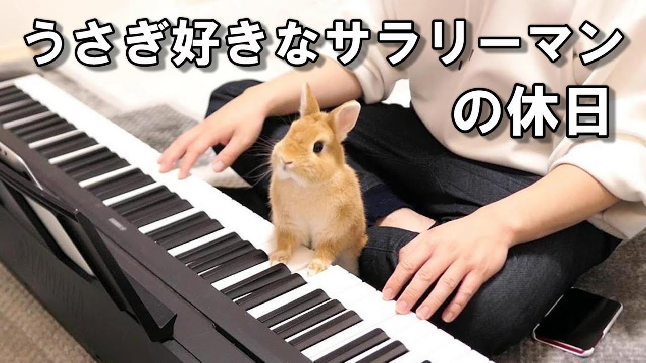 地獄の仕事から解放されてウサギといちゃつくサラリーマン