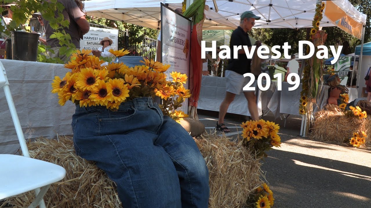 Harvest Day 2019