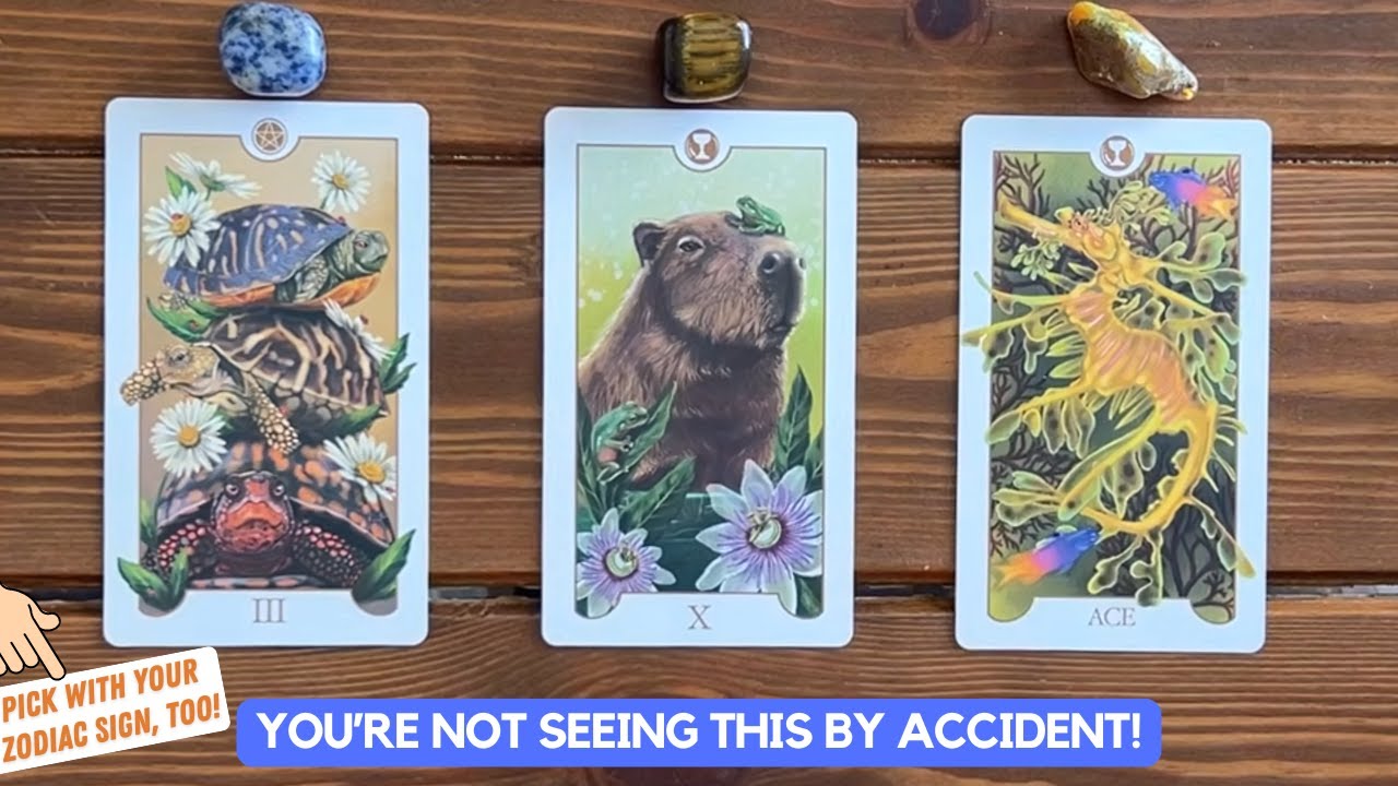 You're Not Seeing This By Accident! A Message That You Are Ready To Receive! | Timeless Reading
