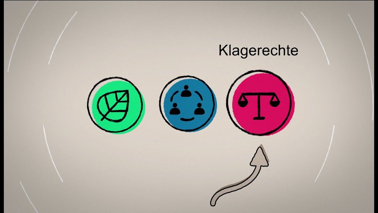 Die Aarhus-Konvention auf EU-Ebene 4: Klagerechte