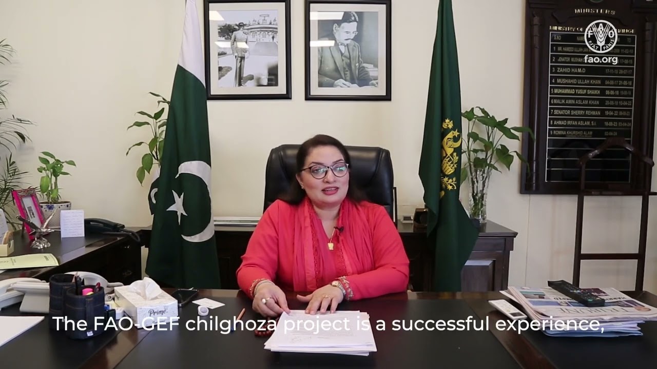 Coordinator to PM for Climate and Environment Pakistan: Launch of RESULT Asia-Pacific
