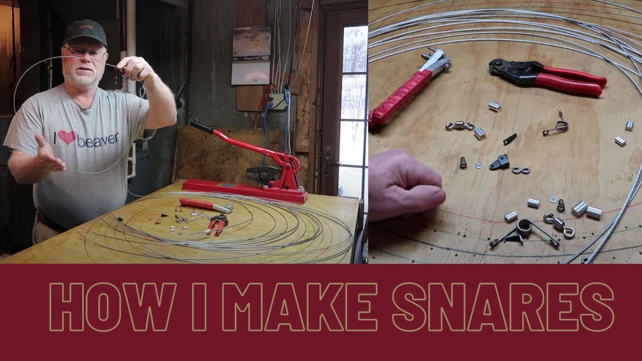 How to: State of the Art Wolf Snaring