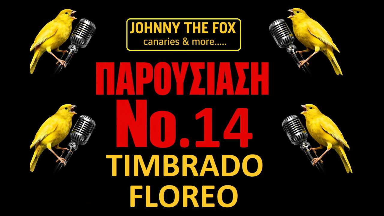 TIMBRANDO FLOREO INTERMEDIATE...ΠΑΡΟΥΣΙΑΣΗ Νο 14