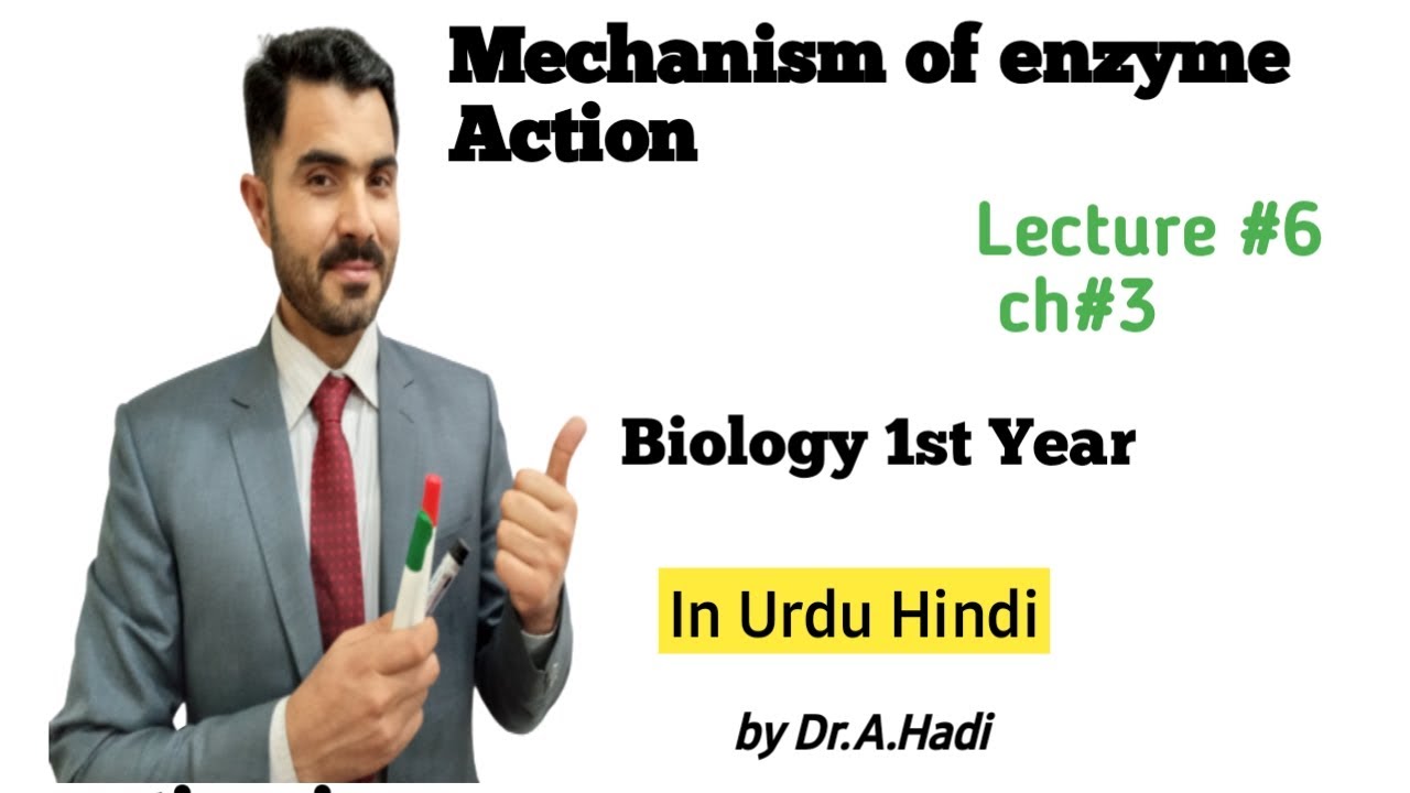 Mechanism of enzyme action Lec# 6 Ch#3 Bio 1 Lock and key model and induced fit model