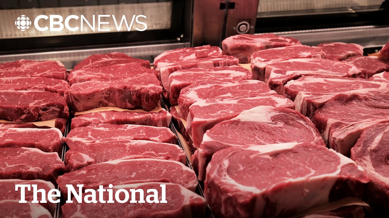 Why beef is so expensive right now