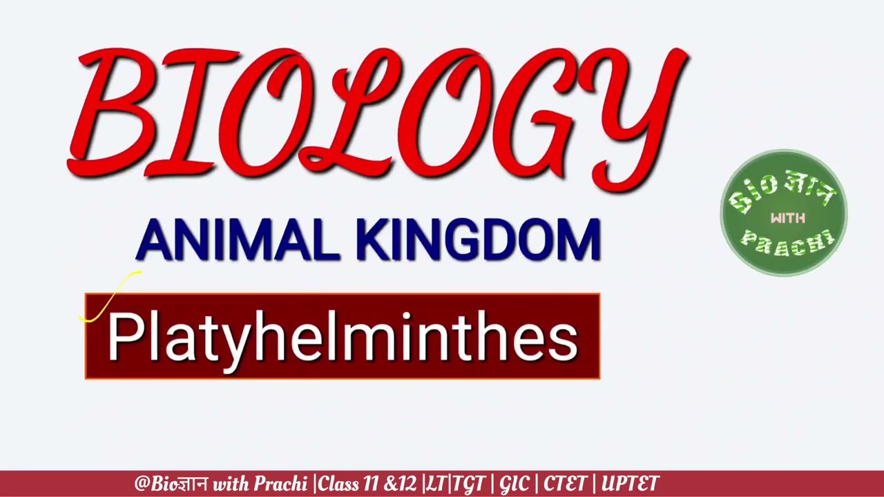 Phylum ~ Platyhelminthes| LT grade ज्ञान Batch |TGT by Biogyanwithprachi