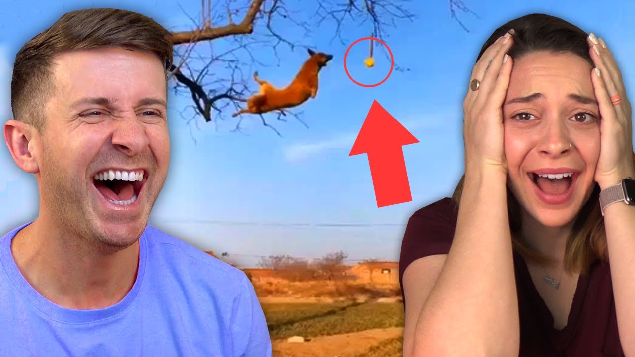 WE ARE TWO DIFFERENT TYPES OF PEOPLE! w/ My Wife (Reddit Nonononoyes)
