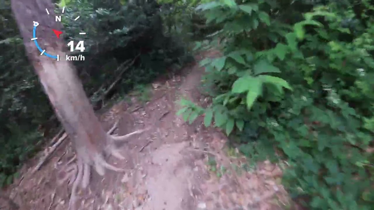 Spina verde enduro MTB Ponte DH