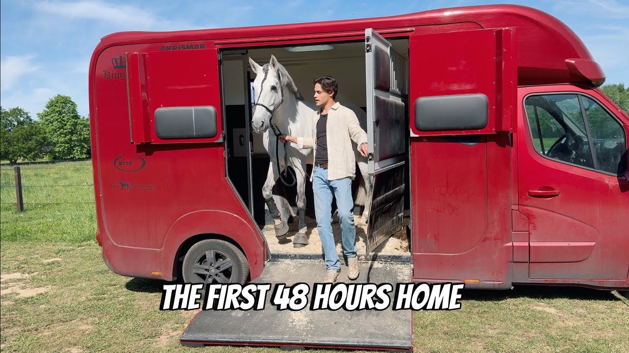 I BROUGHT MY STALLIONS HOME FOR THE FIRST TIME