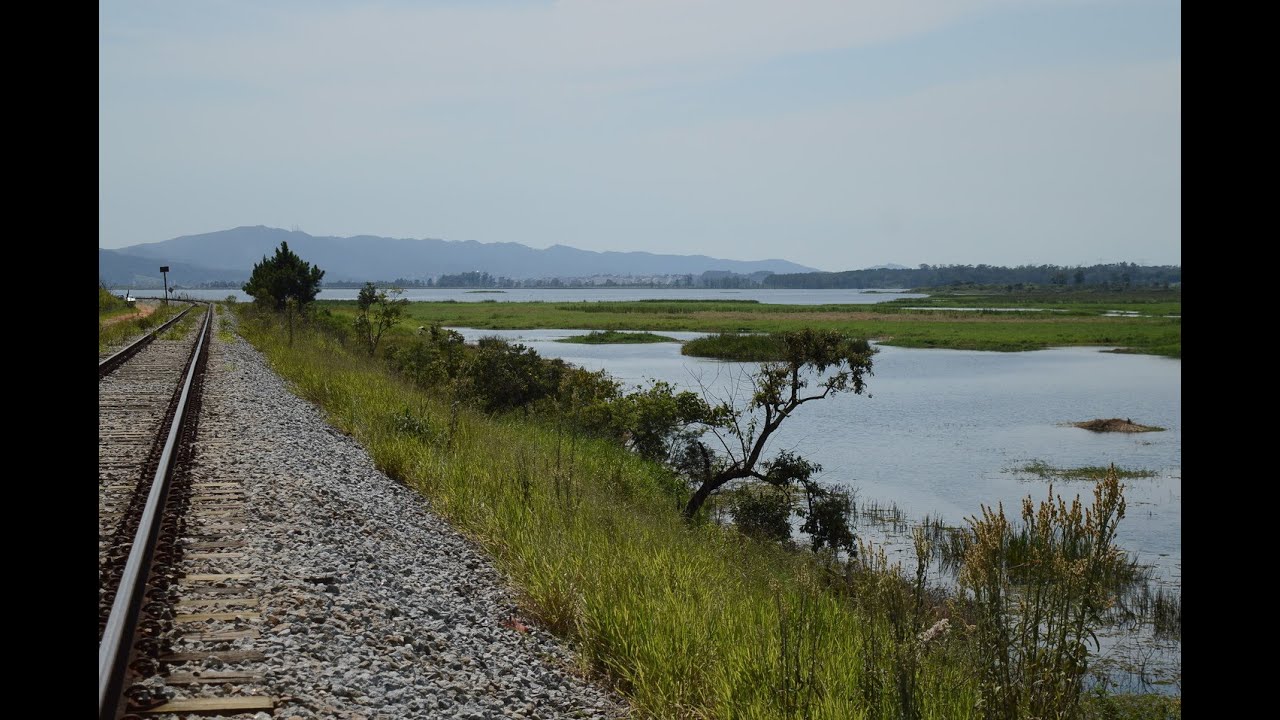 Represa Taiaçupeba - Suzano - SP