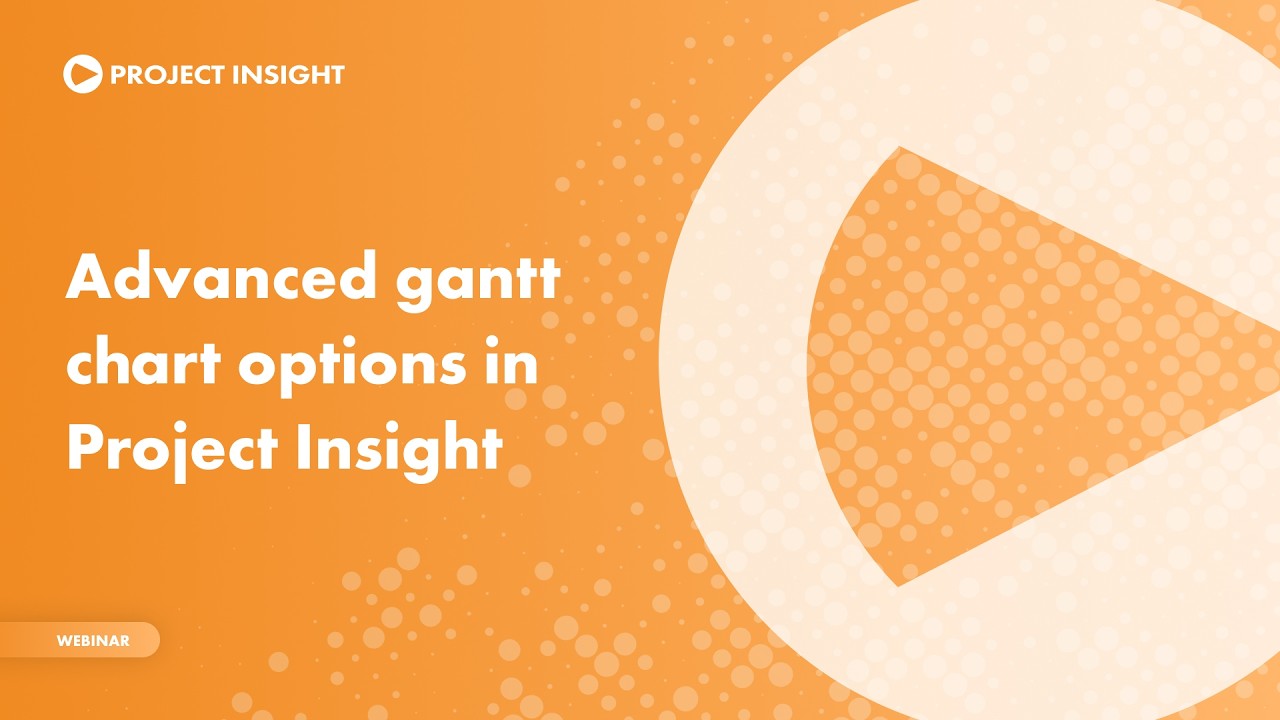Project Task Gantt Chart Options & Filters