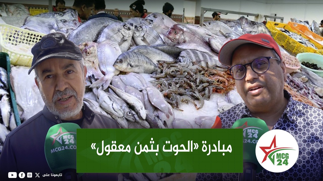 سلا الجديدة.. مبادرة «الحوت بثمن معقول» إقبال قياسي على السردين المجمد بأسعار تبدأ من 13 درهما