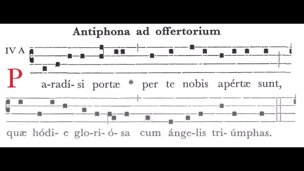 Paradisi portae - In Assumptione B. Mariae Virginis (15.08) - Graduale Simplex Offertorium