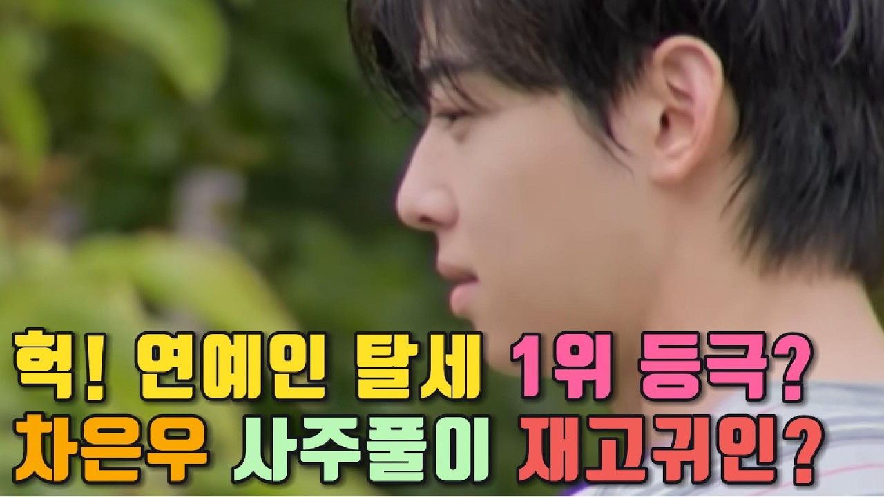 연예인 탈세 1위 등극? 베우 차은우 사주#사주 #운명이야기