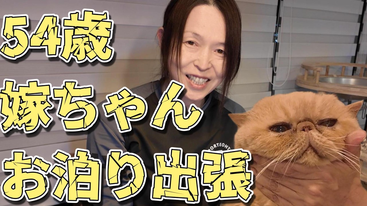【54歳】なんてこった！嫁ちゃんが一晩帰ってこない【オヂサンと猫達の夜】