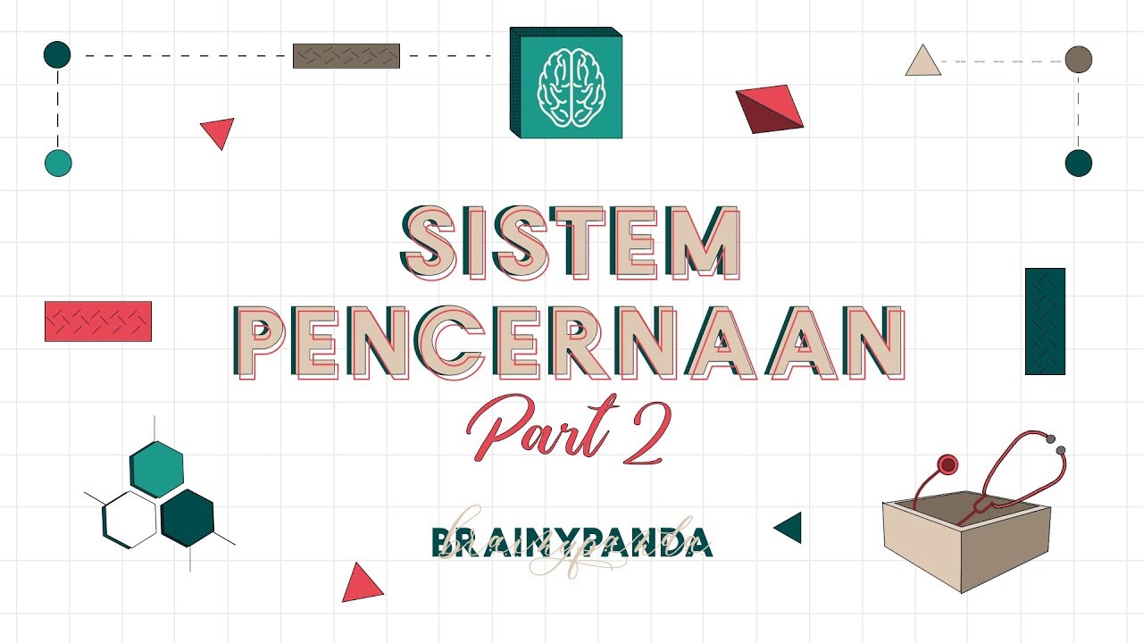 Sistem Pencernaan: Rongga Mulut | Ilmu Biomedik Dasar | Brainy Panda