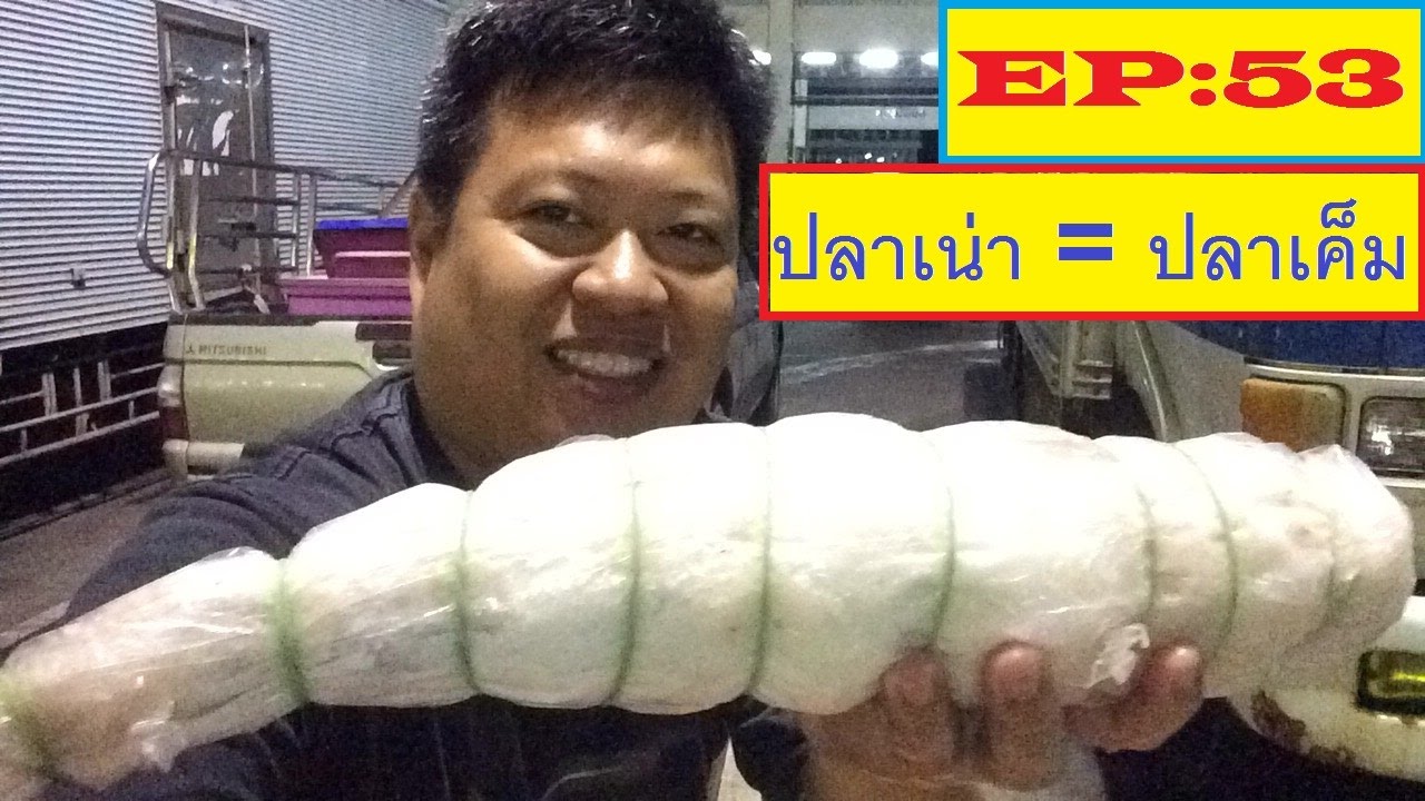 จุ๊จุ๊ ออนทัวร์ EP:53 ปลาเน่า/ปลาอืด = ปลาเค็ม