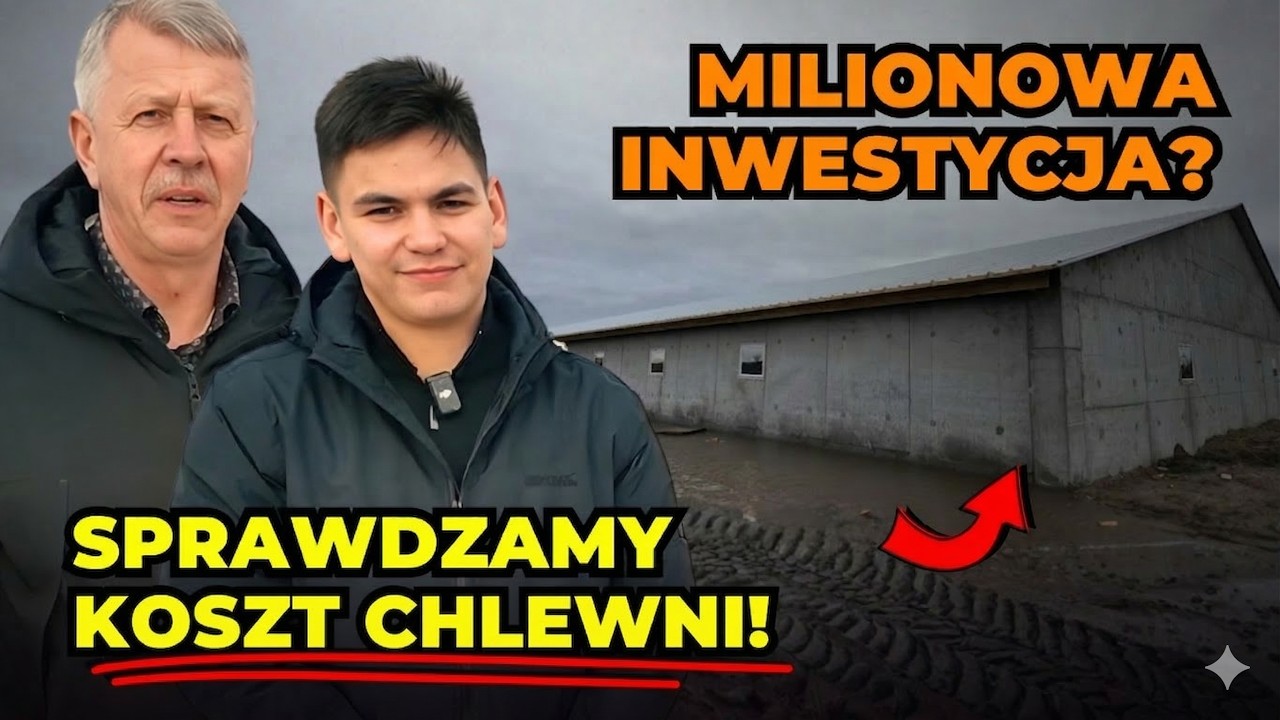 Ile kosztuje chlewnia w 2026 roku?