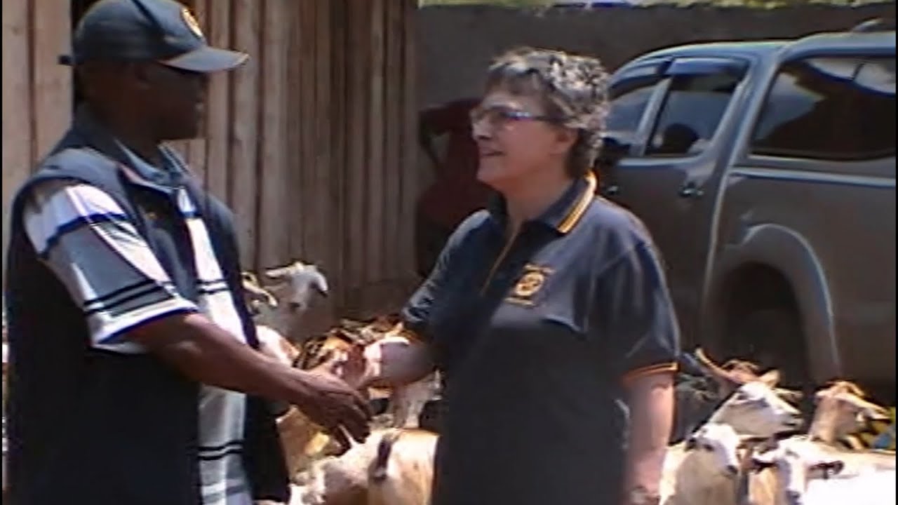 Milking Cow & Goat Project - Meru, Kenya | Healesville Rotary