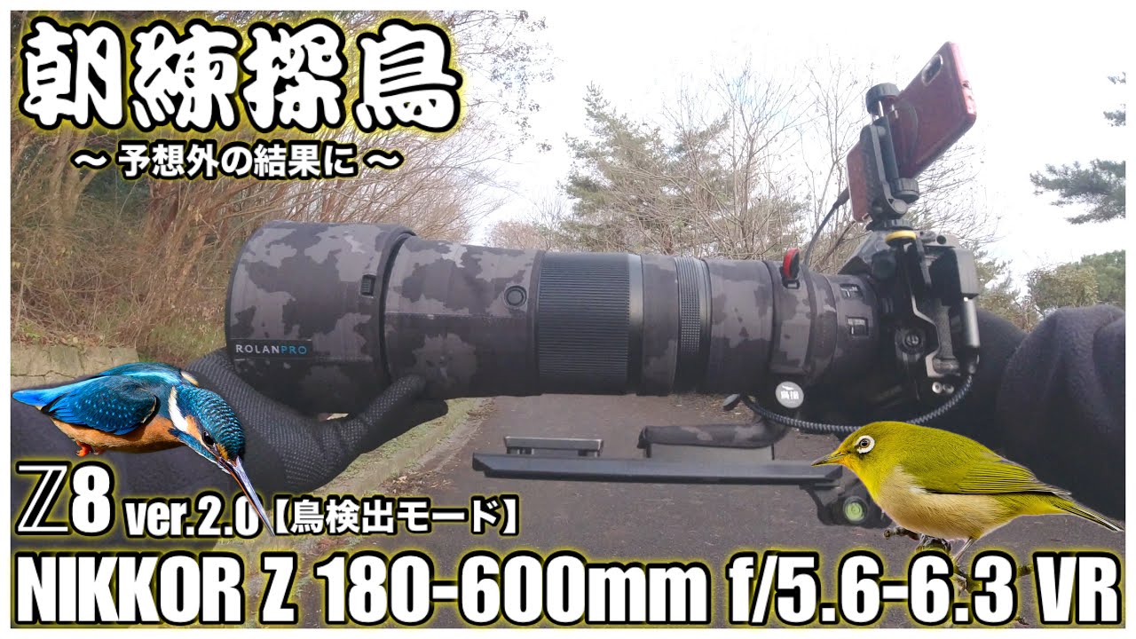 【野鳥撮影】ウメジロー狙いの探鳥のはずが予想外の結果に - NIKKOR Z 180-600mm f/5.6-6.3 VR × Z8 Ver.2.0 -