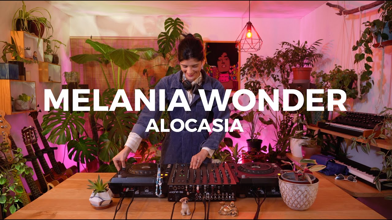 Alocasia TV Santiago - Melania Wonder [Dj Set] #deephouse #indiedance #chicagohouse
